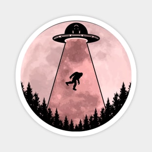 Bigfoot Ufo Abduction Magnet